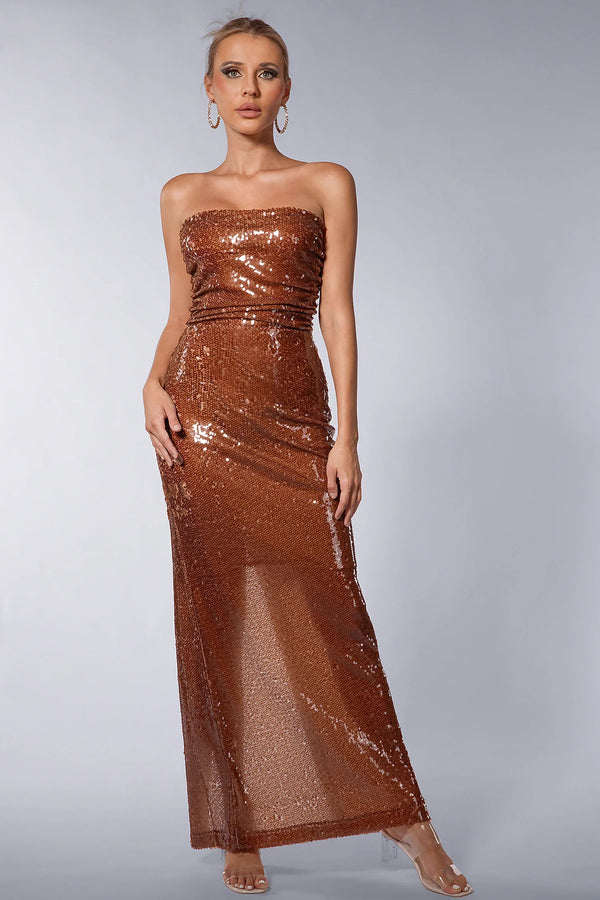 Ashten Strapless Sequin Dress